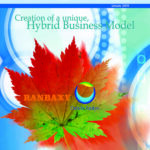 Hybrid Business Model